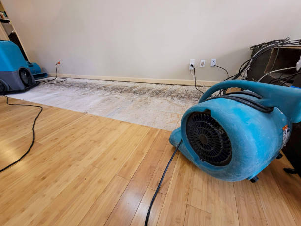Professional Water Damage Repair technician working in Waddy, KY